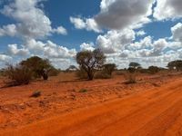 Der rote Sand, mit dem sich die Dickh&auml;uter einstauben